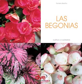 Cover image for Las Begonias
