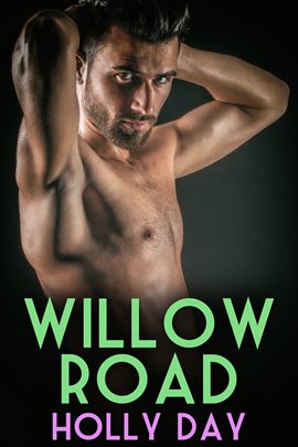 Cover image for Willow Road