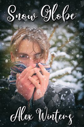 Cover image for Snow Globe