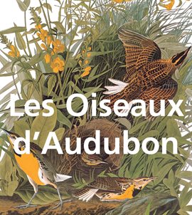 Cover image for Les Oiseaux d'Audubon