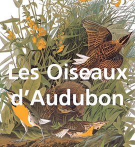 Cover image for Les Oiseaux d'Audubon