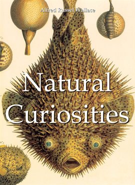 Cover image for Natural Curiosities