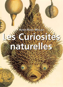 Cover image for Les Curiosités naturelles