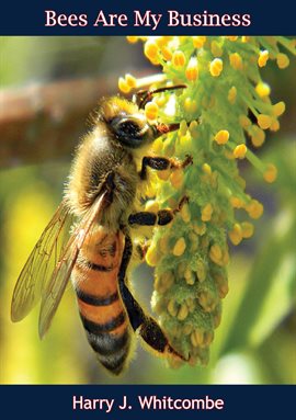 Imagen de portada para Bees Are My Business