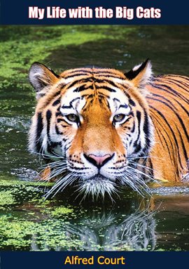 Cover image for My Life with the Big Cats