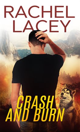 Cover image for Crash and Burn