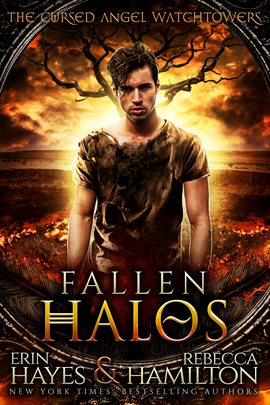 Cover image for Fallen Halos