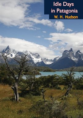 Cover image for Idle Days in Patagonia