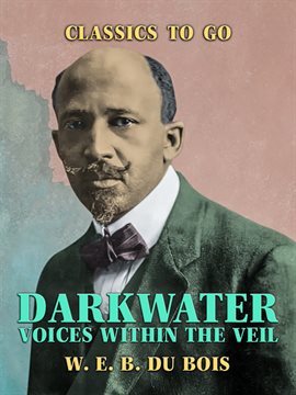 Cover image for Darkwater Voices Within the Veil