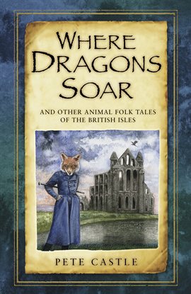Imagen de portada para Where Dragons Soar
