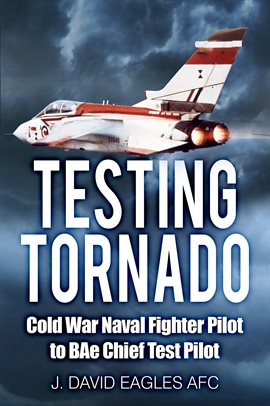Imagen de portada para Testing Tornado