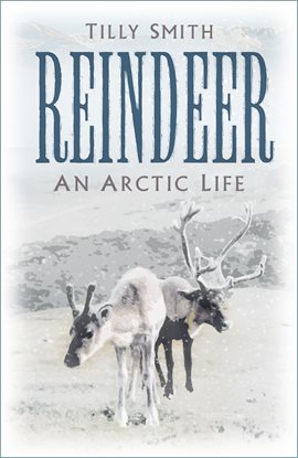 Image de couverture de Reindeer