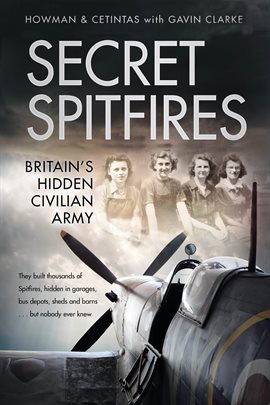 Cover image for Secret Spitfires