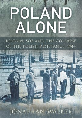 Imagen de portada para Poland Alone