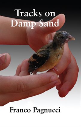 Cover image for Tracks on Damp Sand