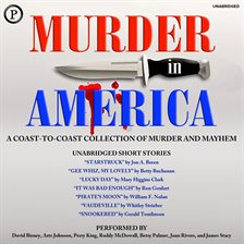 Imagen de portada para Murder in America