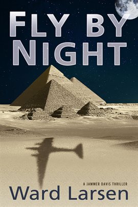 Cover image for Fly by Night