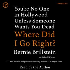 Cover image for Where Did I Go Right?