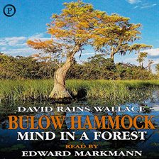 Cover image for Bulow Hammock