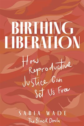 Cover image for Birthing Liberation