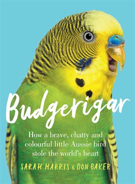 Cover image for Budgerigar