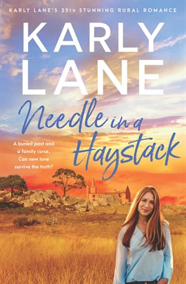 Cover image for Needle in a Haystack