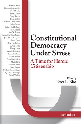 Imagen de portada para Constitutional Democracy Under Stress