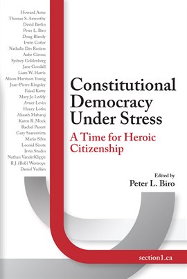 Imagen de portada para Constitutional Democracy Under Stress