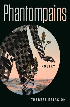 Imagen de portada para Phantompains