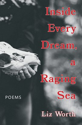 Imagen de portada para Inside Every Dream, a Raging Sea