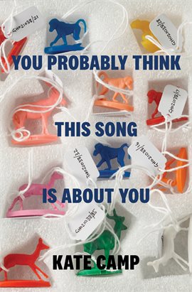 Cover image for You Probably Think This Song Is About You