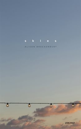Cover image for Skies