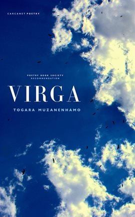 Imagen de portada para Virga