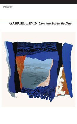 Cover image for Coming Forth by Day