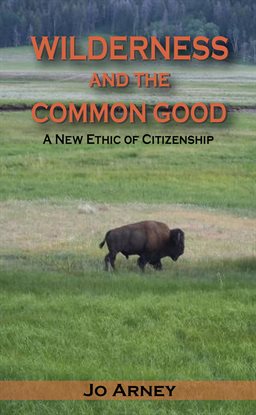 Cover image for Wilderness And The Common Good