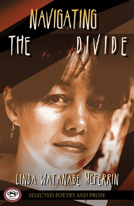 Cover image for Navigating the Divide