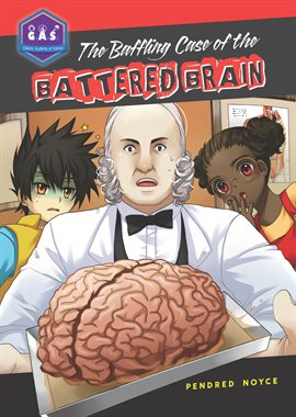 Cover image for Baffling Case of the Battered Brain