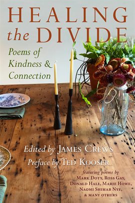 Cover image for Healing the Divide