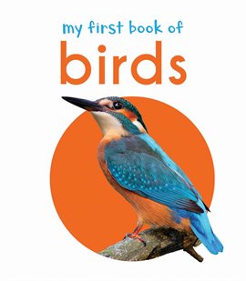My First Book of Birds