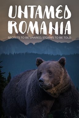 Cover image for Untamed Romania