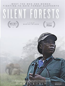 Imagen de portada para Silent Forests