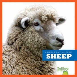 Cover image for Sheep