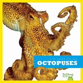 Cover image for Octopuses