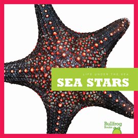 Cover image for Sea Stars