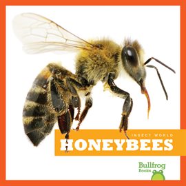 Cover image for Honeybees