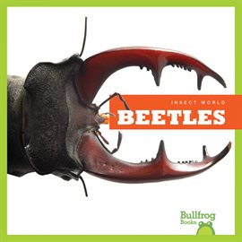 Cover image for Beetles