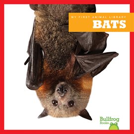 Cover image for Bats