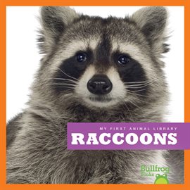 Cover image for Raccoons