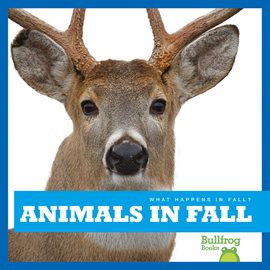 Cover image for Animals in Fall