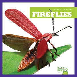 Cover image for Fireflies